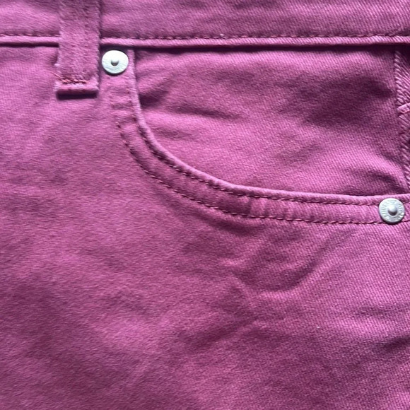 Gloria Vanderbilt Purple Capri pants - Picture 4 of 5
